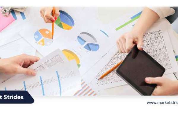 SQL Server Performance Monitoring Tools and Software Market: Insights and Forecast to 2031 | Market Strides