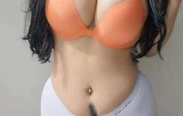 Escort Services in Ajmer