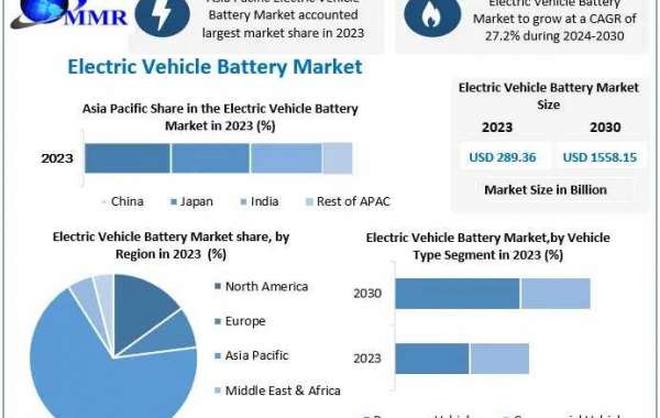 Electric Vehicle Battery Market Revenue, Key Players, and Growth Forecast 2024-2030