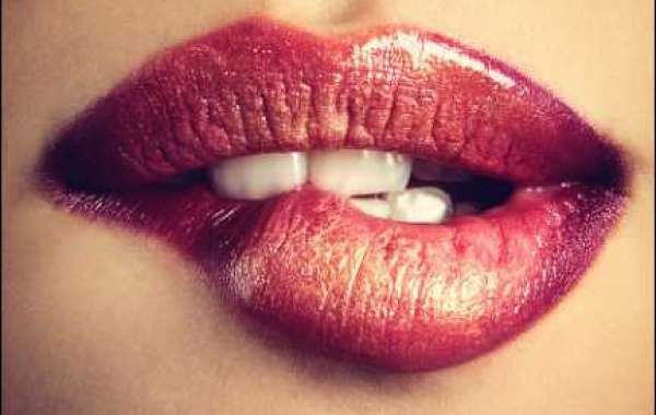 Professional Escort Services in Ahmedabad – Luxury and Elegance