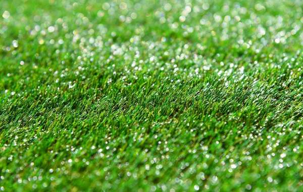 Exploring the Benefits of Artificial Grass for New Zealand Lawns