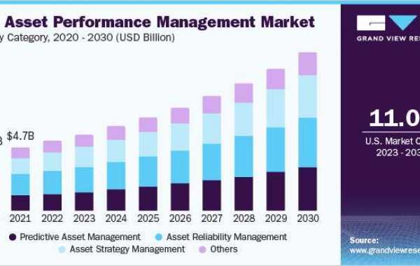 Asset Performance Management Market Insights: Innovations Shaping the Sector