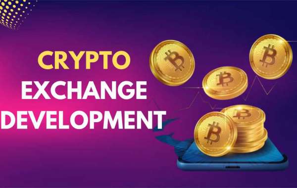 Why Choose a Crypto Exchange Development Company for Your Startup