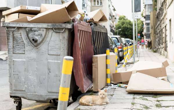 Discover the Easiest Way to Hire a Skip in Wimbledon, Kingston, Morden, Banstead, and Coulsdon