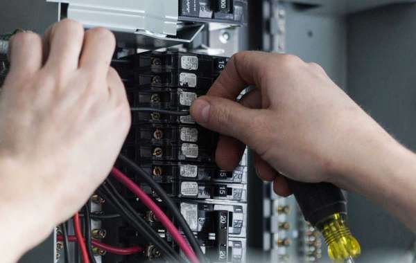 Finding the Best Electrician in Auckland for Your Home Needs