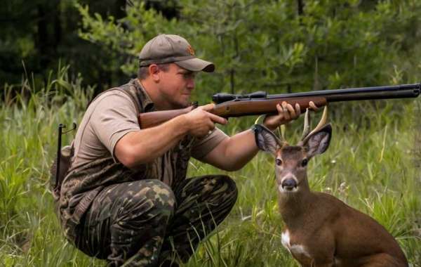 Wildlife Removal: That is What Professionals Do
