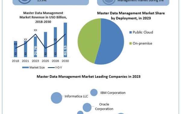 Master Data Management Market Opportunities Fueled by Digital Transformation Initiatives by 2030