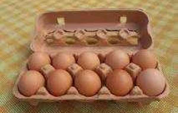 Everything You Need to Know About Egg Cartons