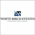 White Birch