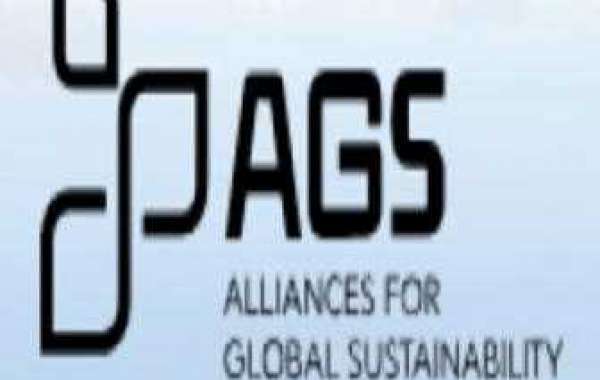 GHG Accounting: A Pathway to Sustainable Business Practices