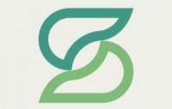 Exploring Digital Marketing Companies in Pakistan