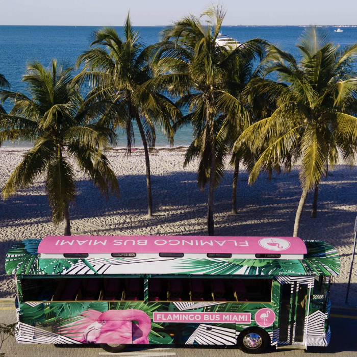Miami Tour Explore Flamingo Bus Miami Tours Adventure