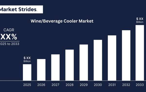 Wine/Beverage Cooler Market Analysis and Growth Projections, 2025-2033