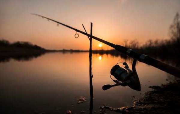 Best Fishing Rods for KP Standard Farcast Spinning Reel: The Assassin Edgesurf Spin Rod