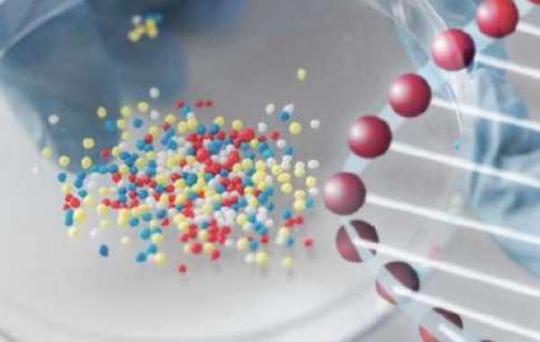 Diabetes Research Focus: Diabetic Mouse Modeling