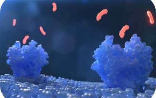Innovations in Drug Delivery: The Promise of Peptide-Conjugated Dendrimers