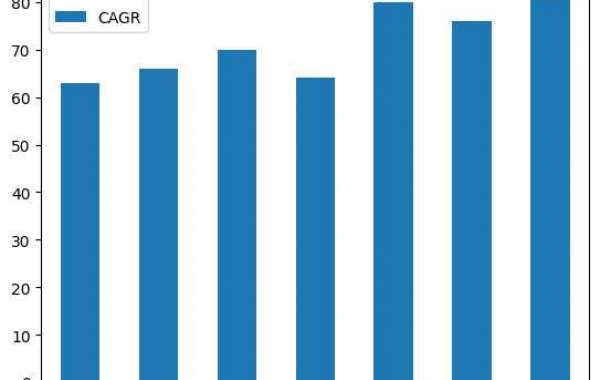 Active Pharmaceutical Ingredients (API)  Market Will Grow at CAGR XX% During 2024-2030