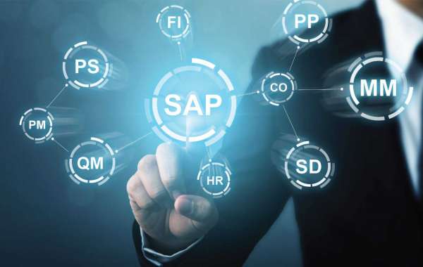 Maximize Warehouse Efficiency with Professional SAP EWM Consultants