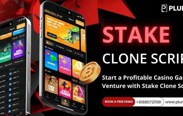 Launch Your Casino Gaming Platform With Our High Demand Stake Clone Script