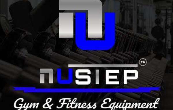 Which Gym Machines Are Most Popular Among Clients?