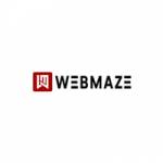 WEB MAZE