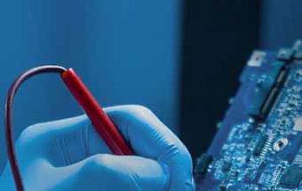 The Increasing Popularity and Demand for Natural Product Extraction Services Across Different Industries Today