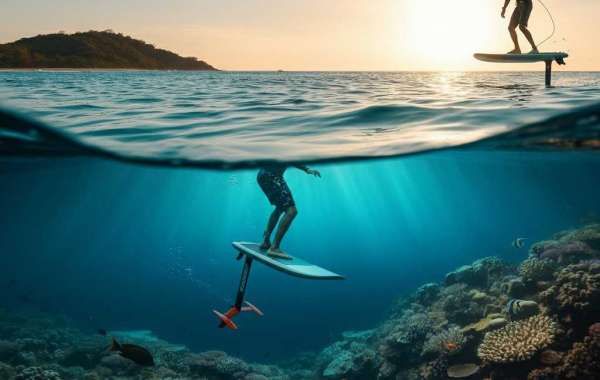 Surfing and Marine Conservation: Phuket’s Coral Reef Revival