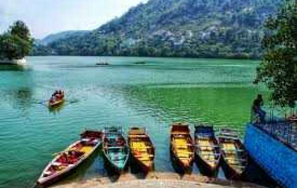Delhi to Bhimtal Cab