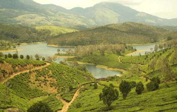 Vellore to Yelagiri Cab