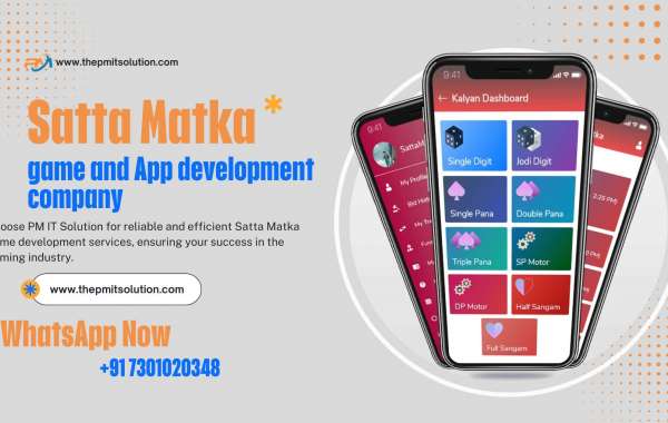 Unlock the Power of Satta: Hire a Skilled Application Developer