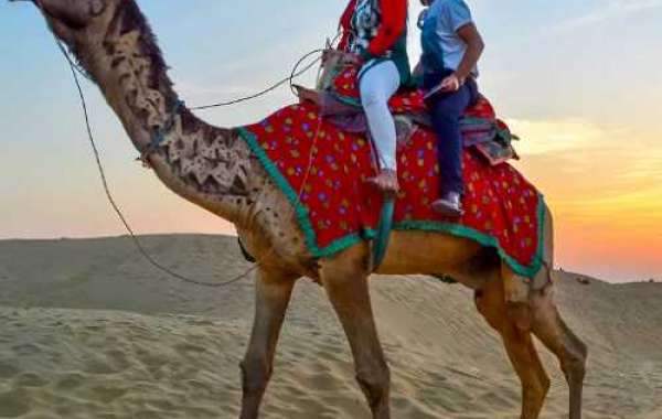 Desert Safari in Osian with Osian Village Safari & Homestay