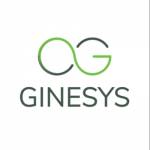 Ginesys