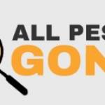 Pest Control Clapham
