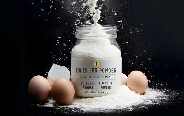 Whole Egg Powder Manufacturing Plant Project Report 2025: Business Plan, Machinery, and Investment Opportunities
