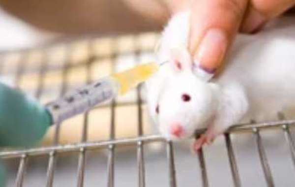 The Importance of Biodistribution Studies and Dosimetry Services in Radiopharmaceuticals