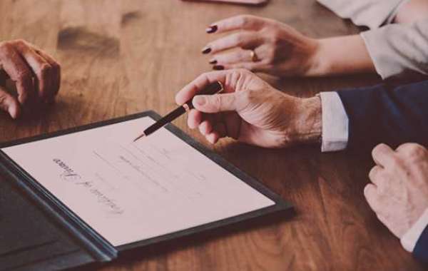 Paragraf Group: Your Trusted Ally for Accounting and Consulting Solutions