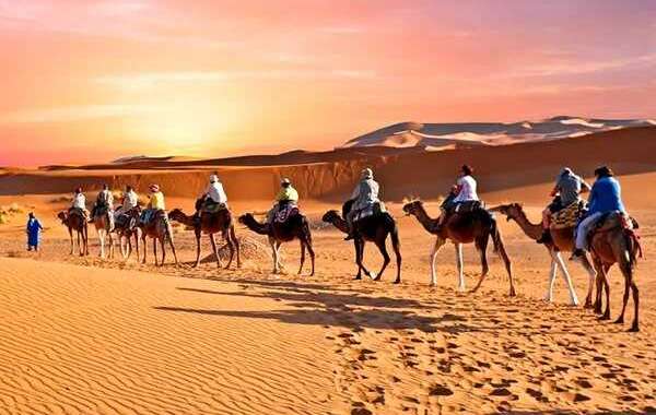 Best Experience in Osian Sand Dunes with Luxury Desert Camp