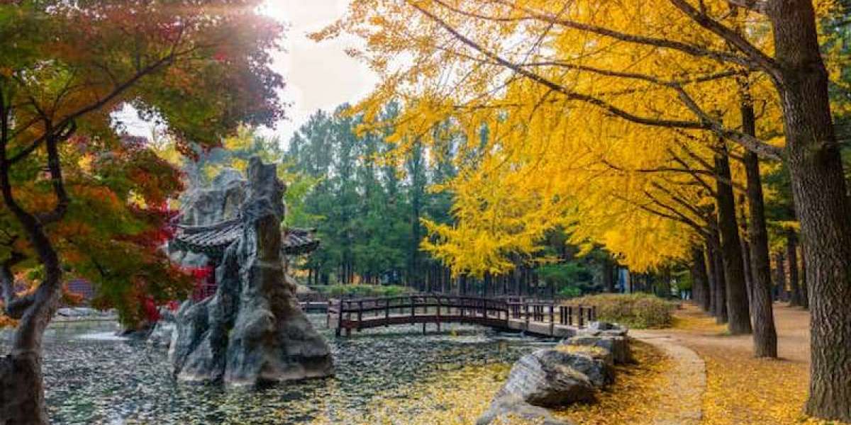 10 Essential Places to Visit in South Korea