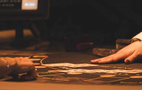 Explore Casino79: The Ultimate Scam Verification Platform for Your Favorite Gambling Site