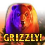 Войти Grizzly