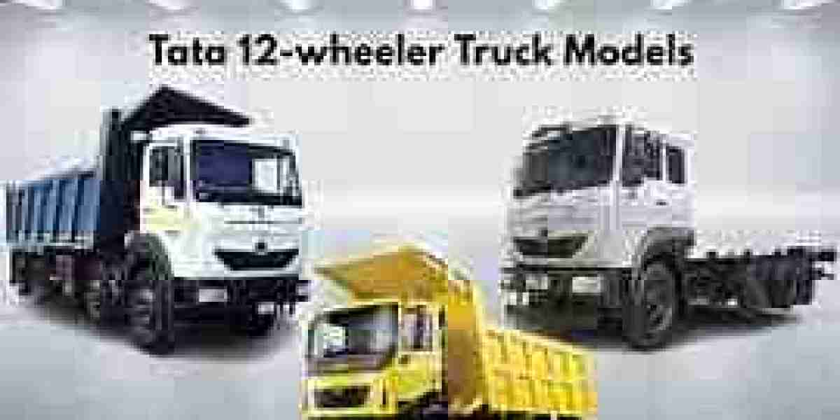 Tata 12 Wheeler Trucks: A Reliable Solution for Heavy-Duty Transportation