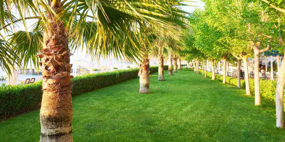 Tops benefits of professional lawn care