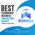 ecomsole agency
