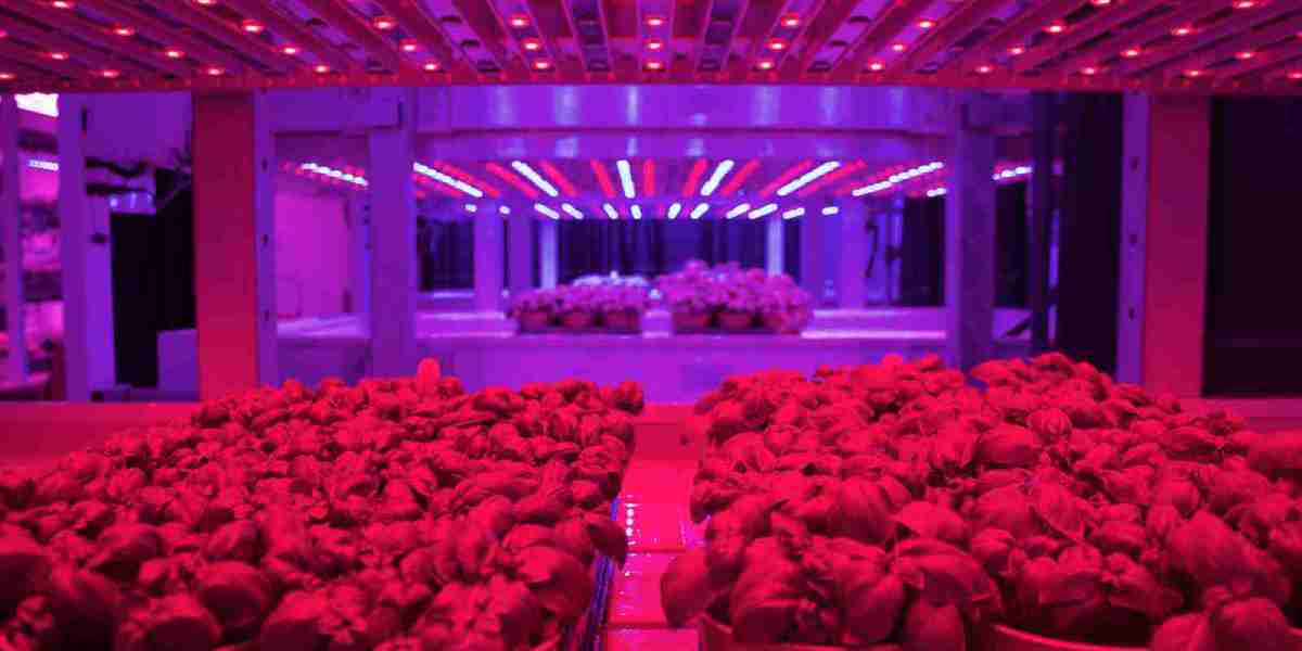 Artificial Lights Market is illuminated by advancements in LED technology