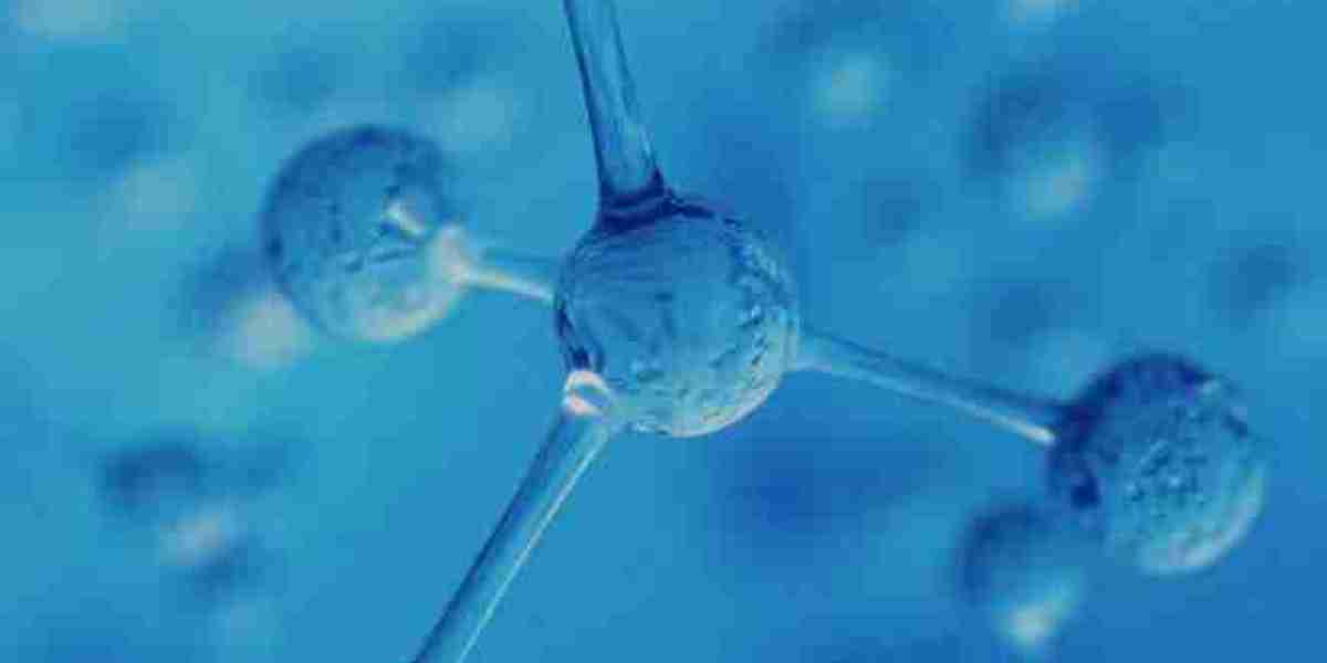 Understanding Amino Acid Analysis and Its Critical Role in Custom Synthesis