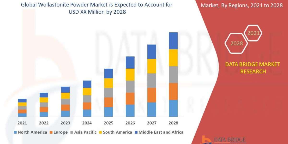 Wollastonite Powder Market, Size, Share Trends, Growth Opportunities and Industry