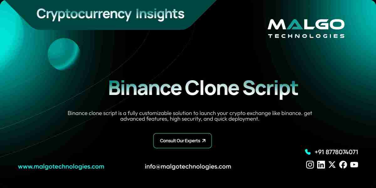 One Script, One Vision, One Success: Binance Clone for Entrepreneurs