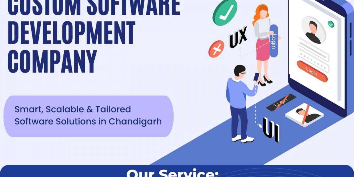 Custom Software Development Company in Chandigarh