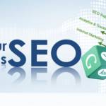SEO Export in Bangalore
