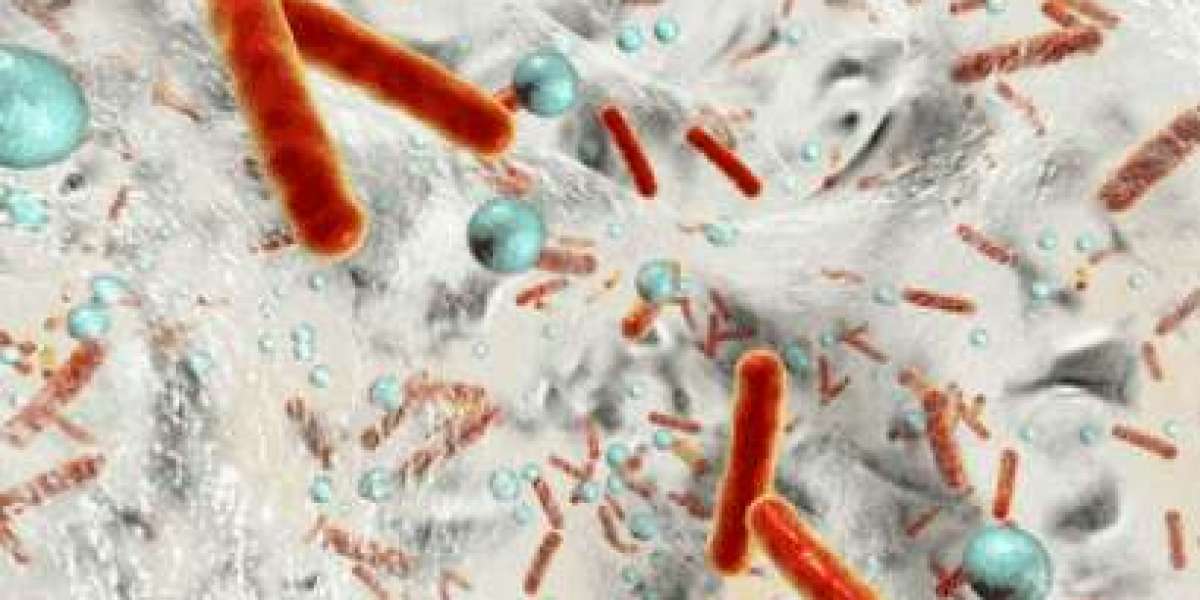 Biofilm testing for medical research